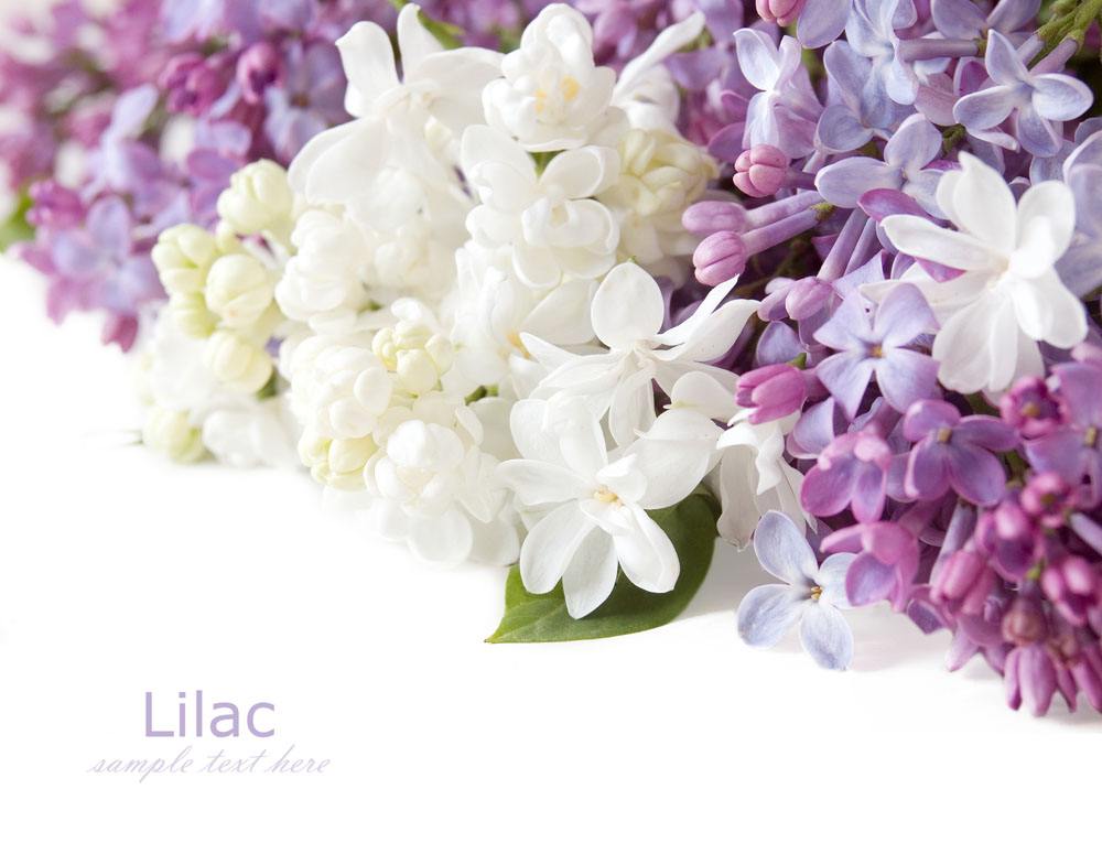 喜訊！2017七夕節(jié)的一份中標(biāo)通知書