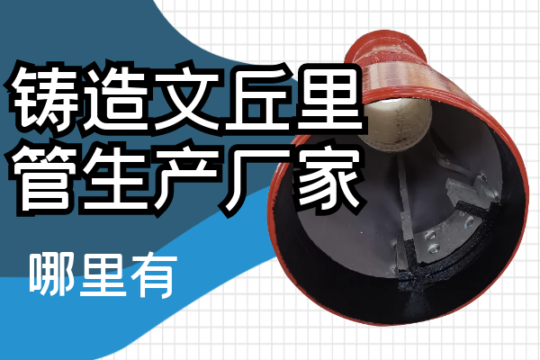 鑄造文丘里管生產(chǎn)廠(chǎng)家
